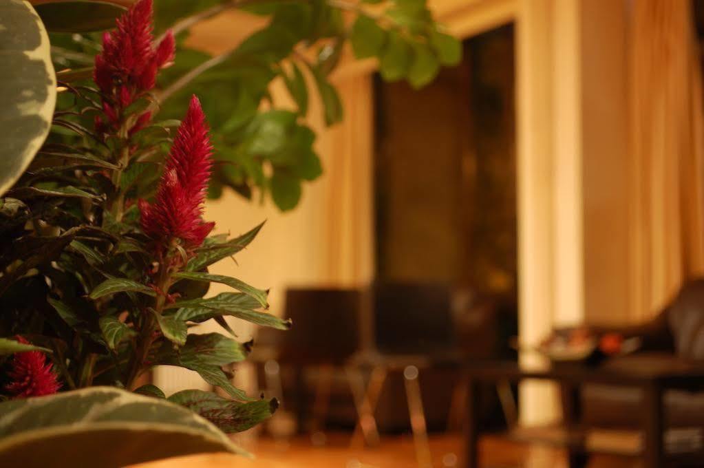 Hotel Platon Athens Ngoại thất bức ảnh